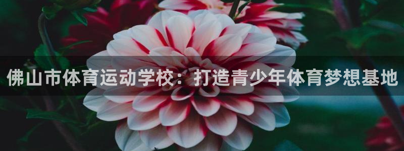 逐梦国际体育f开户：佛山市体育运动学校：打造青少年体育梦想基地