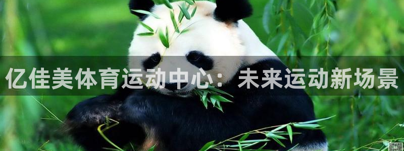 逐梦国际3：亿佳美体育运动中心：未来运动新场景