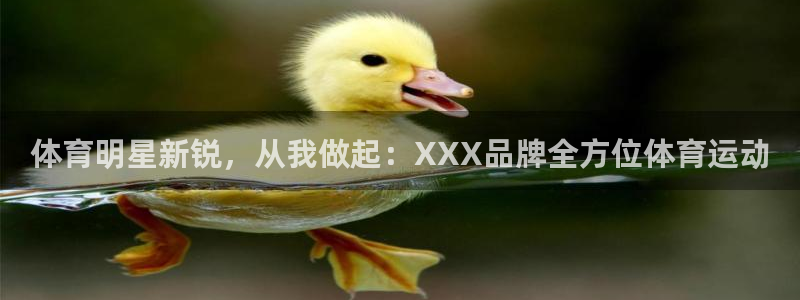 逐梦国际体育凯捷登陆：体育明星新锐，从我做起：XXX品牌全方位体育运动