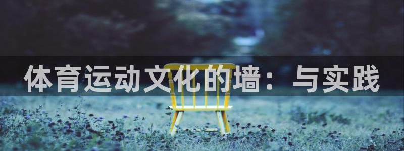 逐梦国际：体育运动文化的墙：与实践
