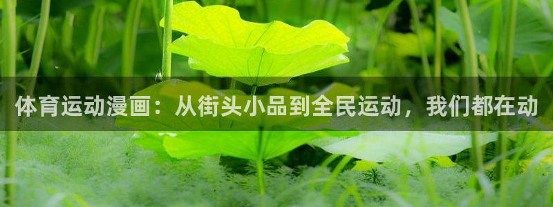 意昂的动画：体育运动漫画：从街头小品到全民运动，我们都在动