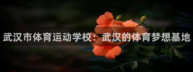逐梦国际5招商：武汉市体育运动学校：武汉的体育梦想基地