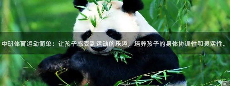 意昂3平台注册：中班体育运动简单：让孩子感受到运动的乐趣，培养孩子的身体协调性和