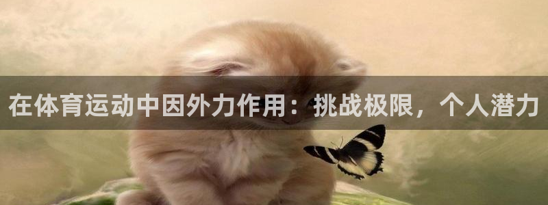 逐梦国际f凯捷注册：在体育运动中因外力作用：挑战极限，个人潜力