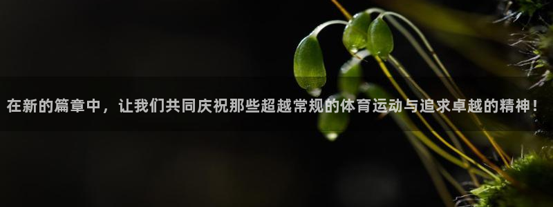 逐梦国际3：在新的篇章中，让我们共同庆祝那些超越常规的体育运动与追求卓越的精神！