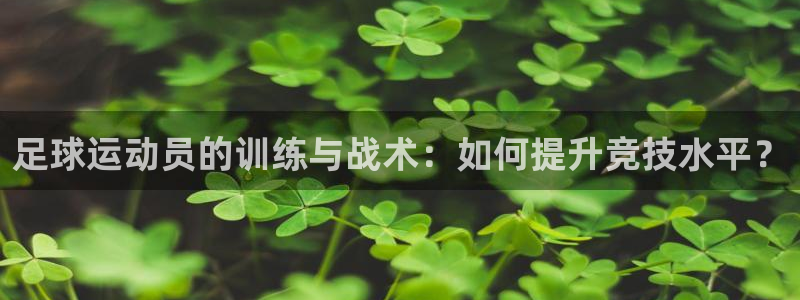逐梦国际体育平台开号链接：足球运动员的训练与战术：如何提升竞技水平？