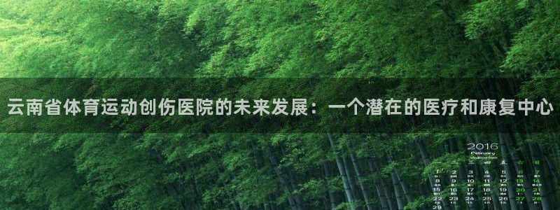 逐梦国际体育注册代理：云南省体育运动创伤医院的未来发展：一个潜在的医疗和康复中心