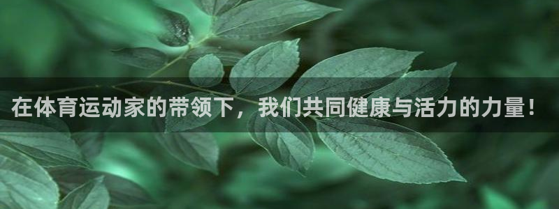 逐梦国际平台：在体育运动家的带领下，我们共同健康与活力的力量！