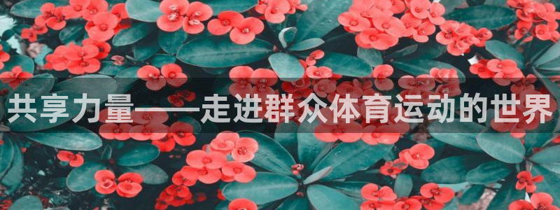 意昂招商