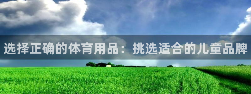 意昂新能源汽车科技有限公司：选择正确的体育用品：挑选适合的儿童品牌