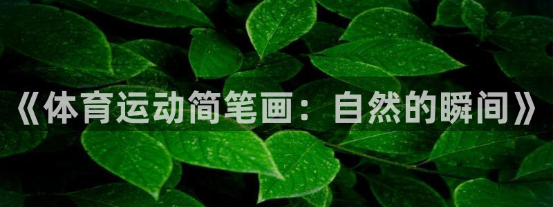 逐梦国际4：《体育运动简笔画：自然的瞬间》