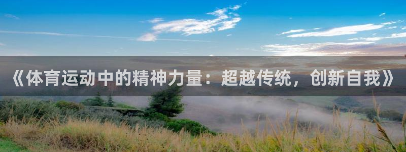 逐梦国际官网：《体育运动中的精神力量：超越传统，创新自我》