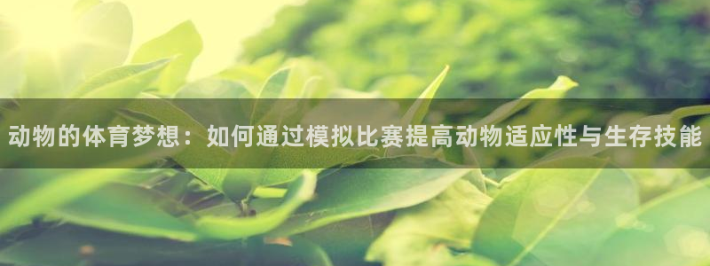 意昂是什么品牌：动物的体育梦想：如何通过模拟比赛提高动物适应性与生存技能