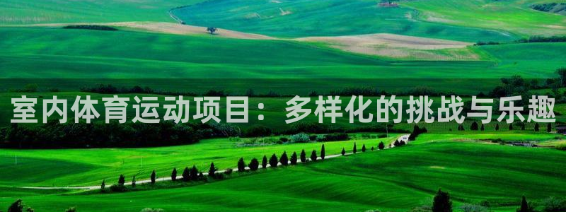 意昂kgame：室内体育运动项目：多样化的挑战与乐趣