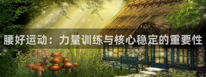 逐梦国际f平台注册：腰好运动：力量训练与核心稳定的重要性