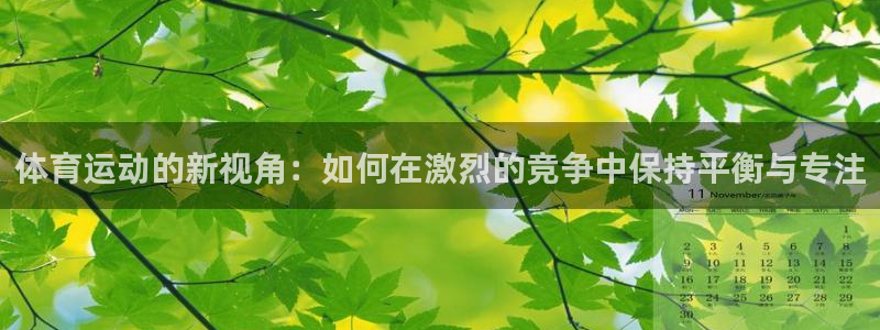 逐梦国际2登录入口：体育运动的新视角：如何在激烈的竞争中保持平衡与专注