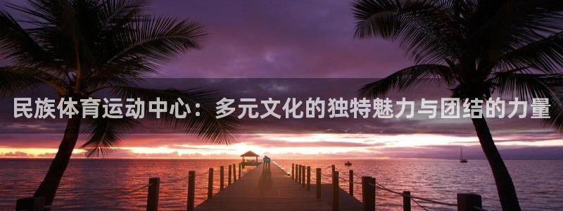 意昂5招商：民族体育运动中心：多元文化的独特魅力与团结的力量