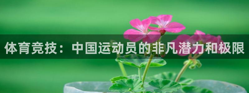 逐梦国际电子有限公司：体育竞技：中国运动员的非凡潜力和极限