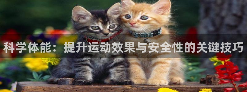 意昂代理：科学体能：提升运动效果与安全性的关键技巧