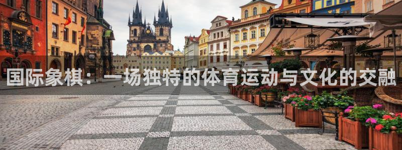 逐梦国际4开户：国际象棋：一场独特的体育运动与文化的交融