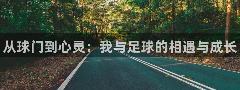 逐梦国际登录入口：从球门到心灵：我与足球的相遇与成长