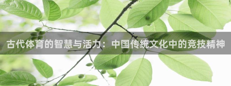 逐梦国际5招商：古代体育的智慧与活力：中国传统文化中的竞技精神