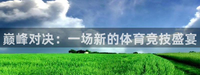 逐梦国际2代理注册：巅峰对决：一场新的体育竞技盛宴
