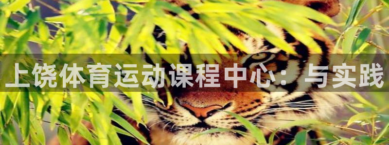 意昂官网注册：上饶体育运动课程中心：与实践