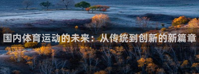逐梦国际官网：国内体育运动的未来：从传统到创新的新篇章