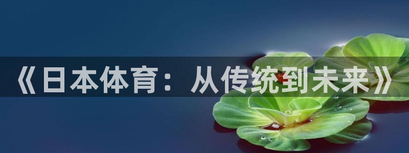 意昂3平台注册：《日本体育：从传统到未来》
