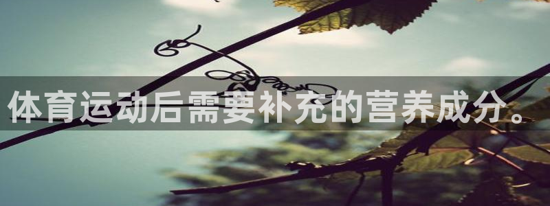 逐梦国际体育合法嘛：体育运动后需要补充的营养成分。