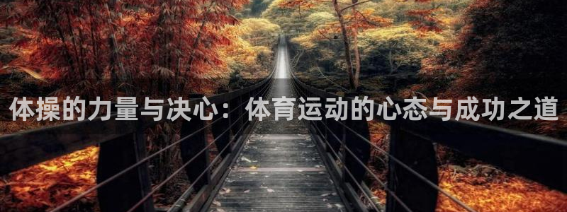 逐梦国际体育平台总代理